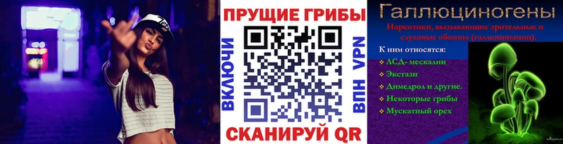 Купить  Ростов  Галлюциногенные грибы Psilocybine cubensis 